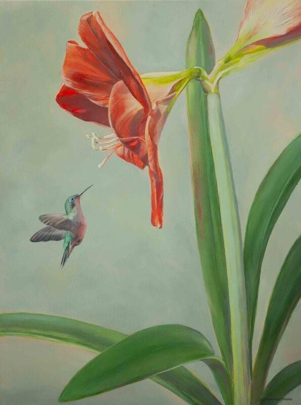 Amaryllis and Hummingbird. 18x24in. Acrylic on gallery wrap canvas. Original available.