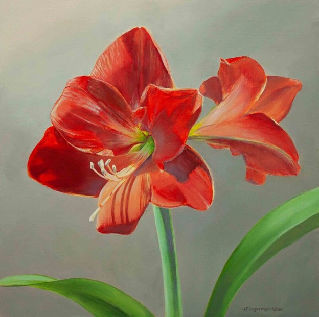 Amaryllis. 16x16in. Acrylic on gallery wrap canvas. Private collection.